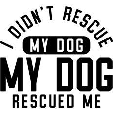 I Didn't Rescue My Dog, My Dog Rescued Me