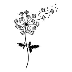 Dandelion with paw prints