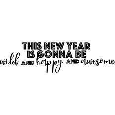 The New Year Is Gonna Be Wild And Happy and Awesome