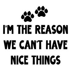 Reason We Can't Have Nice Things