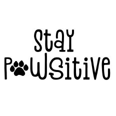 Stay Pawsitive