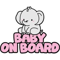 cute baby on board elephant