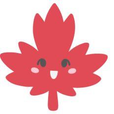 Cute Maple Leaf