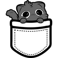 cue cat in a pocket