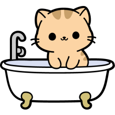 cute kitten in a tub