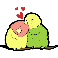 cute love birds