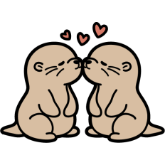 cute otter couple in love kissing