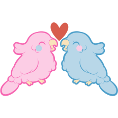 parrots in love