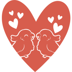 cute parrots inside an heart