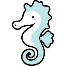 cute seahorse
