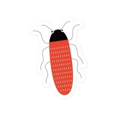 Red Cutie Bug