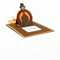 a2 turkey slider card