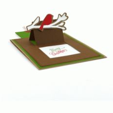 a2 robin slider window card