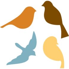 bird collection