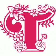 secret garden t