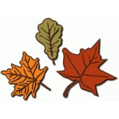 autumn leaves with detail
