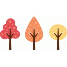 tree trio