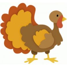 cute turkey