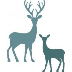 2 deer family