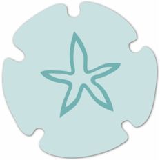 sand dollar