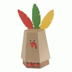 turkey box
