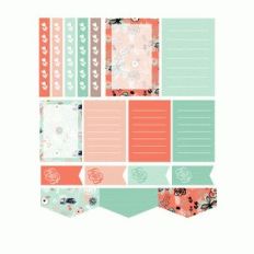 expressive floral planner stickers- coral