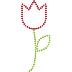 tulip