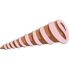 sea shell 2