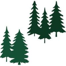 forest tree bunches