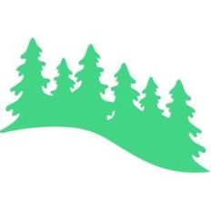 pine tree hill