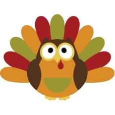 owl turkey thanksgiving