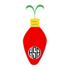 monogram christmas light