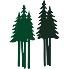tall pine trees