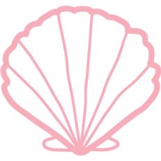 scallop shell