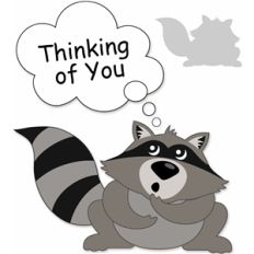 raccoon thinking