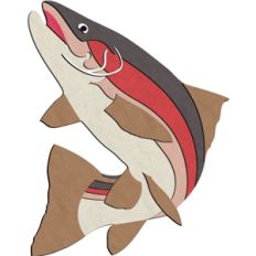 rainbow trout