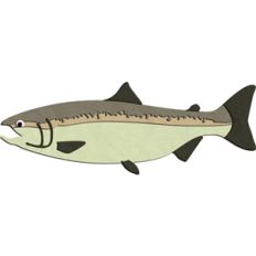 bass