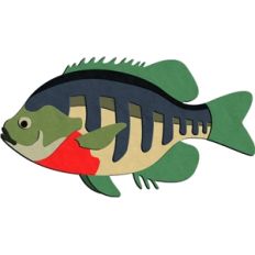 blue gill