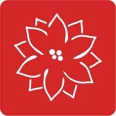 poinsettia stencil