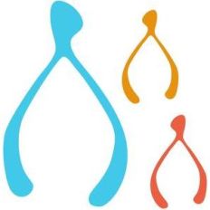 wishbone collection