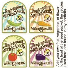 4 seed packet graphics