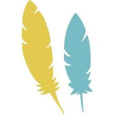 feathers