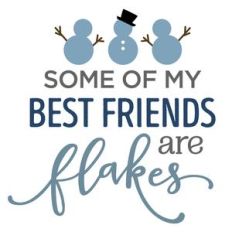 some of my friends are flakes phrase