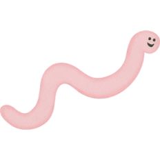 Worm
