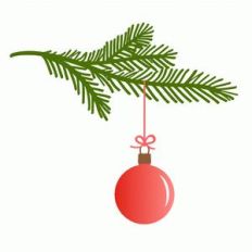 pine branch