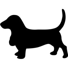 basset hound