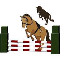 show jumping horse