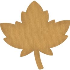 Leaf