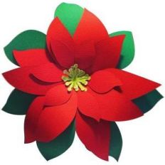 3d poinsettia flower