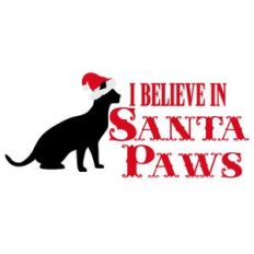santa paws - cat